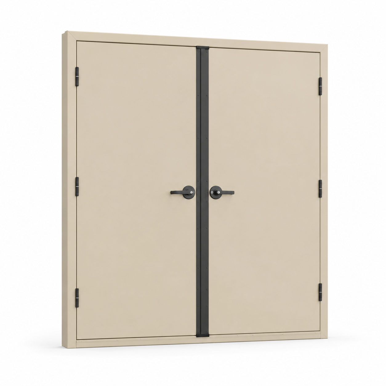 Double Steel Doors for shipping containers